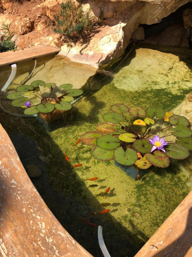 Villa Mirascopello Кастеламаре дел Голфо Екстериор снимка